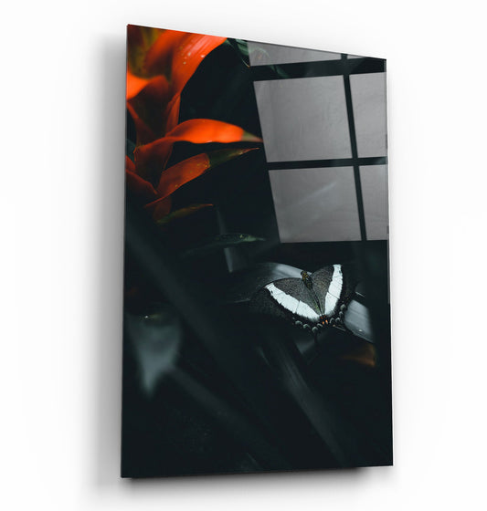 Black Butterfly - Designer's Collection Glass Wall Art