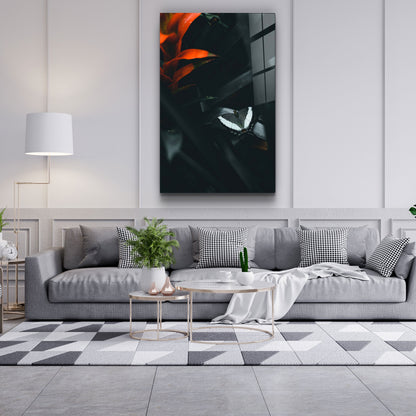 Black Butterfly - Designer's Collection Glass Wall Art