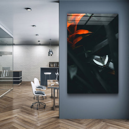 Black Butterfly - Designer's Collection Glass Wall Art