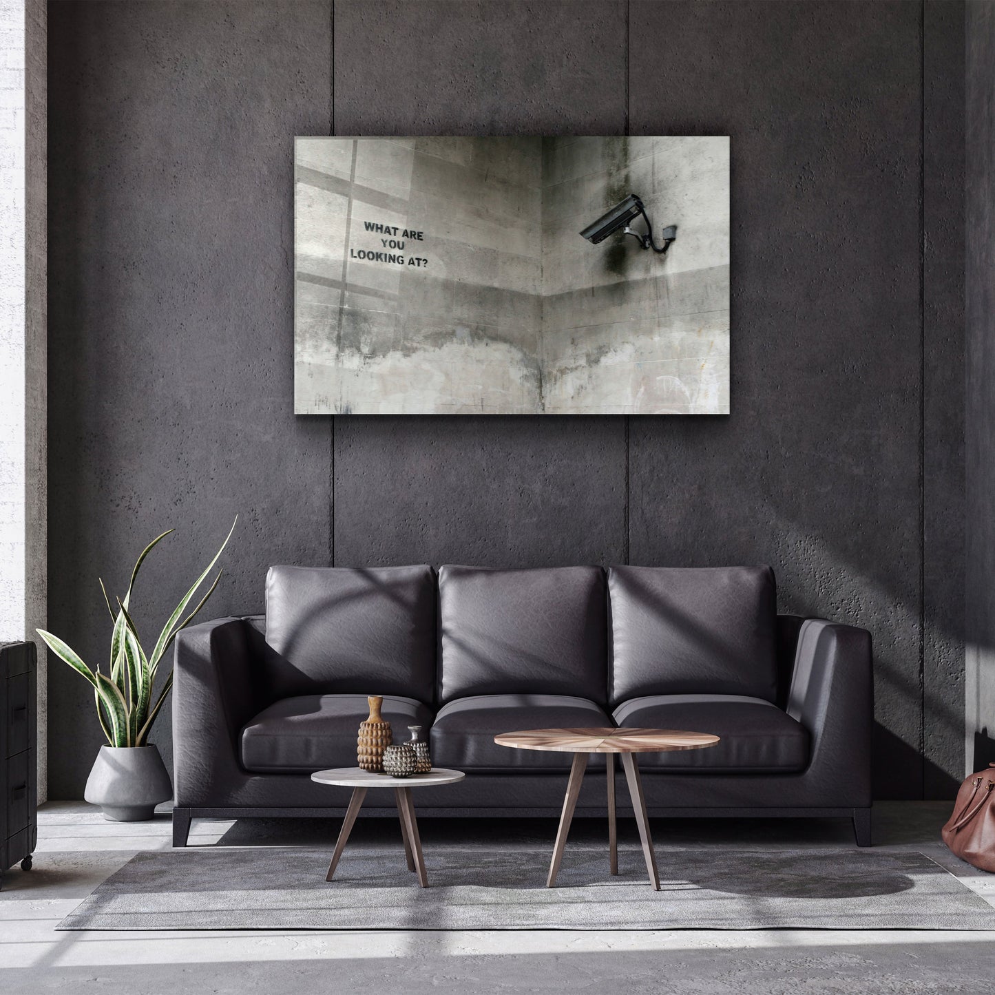 Banksy - What Are You Looking At? - Designer's Collection Glass Wall Art
