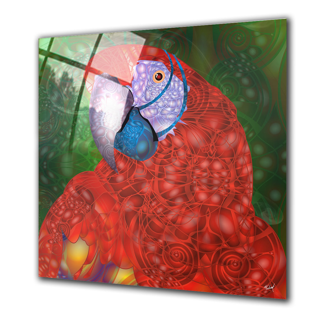 Charlie The Parrot - Barlowa Store