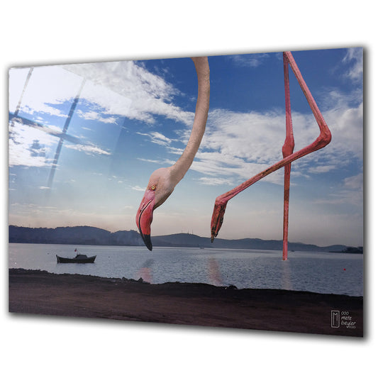 Flamingo at the Bosphorus - Barlowa Store