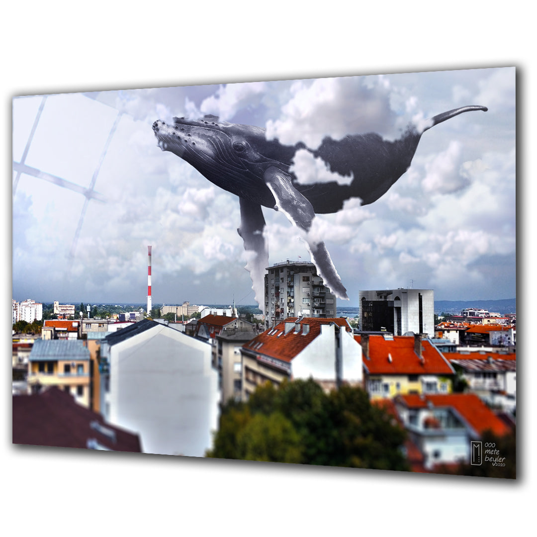 Floating Whale - Barlowa Store