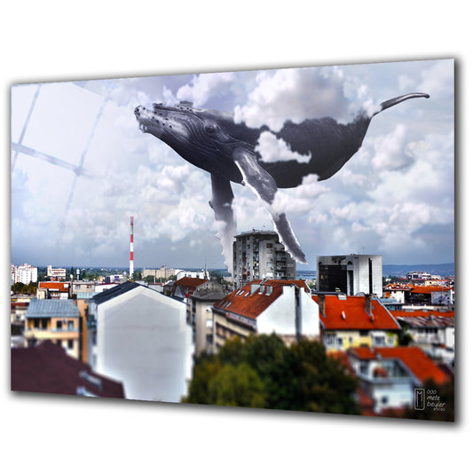 Floating Whale - Barlowa Store