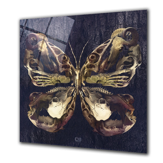 Butterfly Bones - Barlowa Store