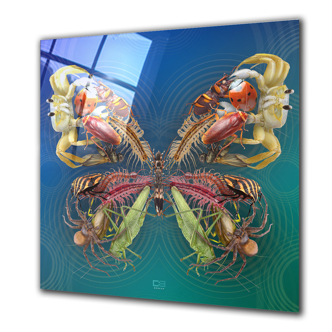 Butterfly Insect