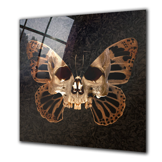 Butterfly Skull