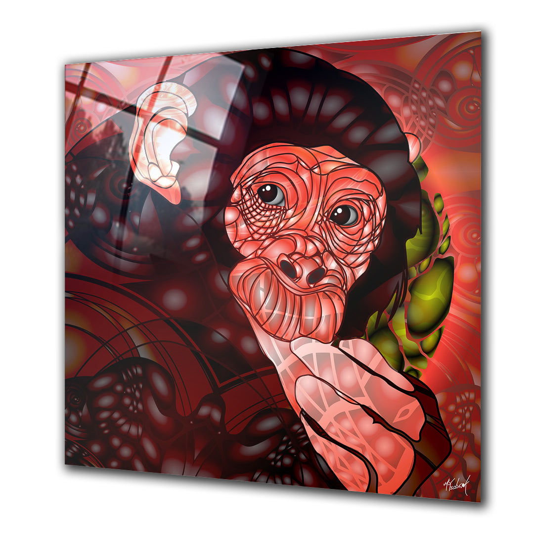 Confused Monkey - Barlowa Store
