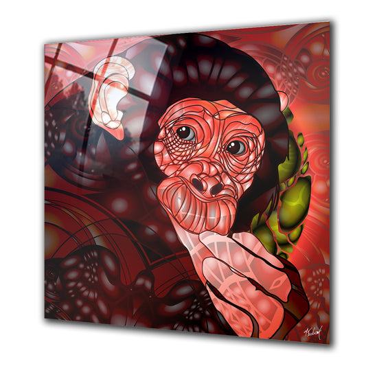 Confused Monkey - Barlowa Store