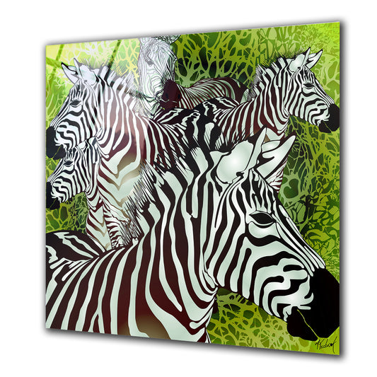 Zebra Invasion - Barlowa Store